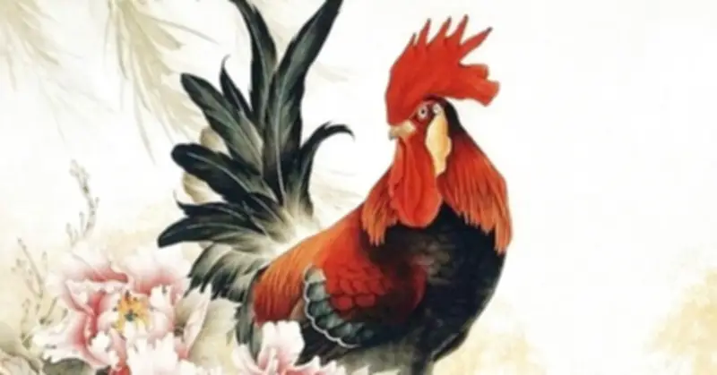 Tử Vi Tuổi Dậu Năm 2026: Dự Báo Chi Tiết Từng Tháng Và Cách Hóa Giải Vận Hạn