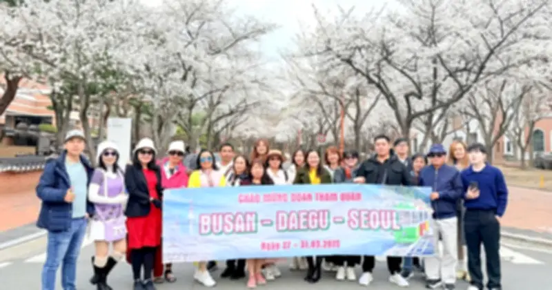 Đất Việt Tour tung loạt tour 'săn' hoa anh đào giá hời tại Hàn, Nhật, Đài Loan, Trung Quốc