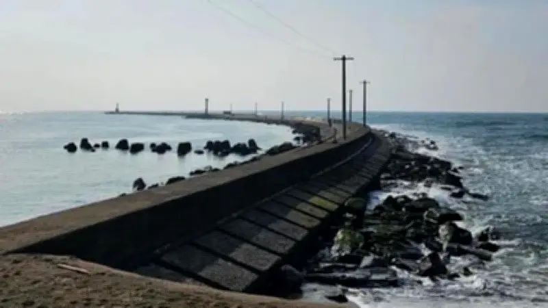 Tai nạn sóng lớn tại Nhật Bản: 1 lao động Việt tử vong, 3 người mất tích