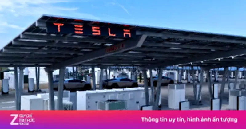 Tesla Chi 2,9 Tỷ USD Mua Thiết Bị Sản Xuất Pin Mặt Trời Từ Trung Quốc