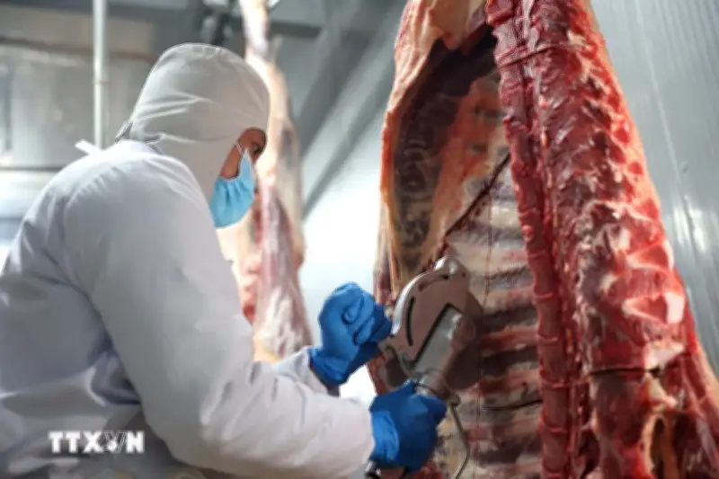 Thủ tướng chỉ đạo chấn chỉnh công tác kiểm soát giết mổ gia súc