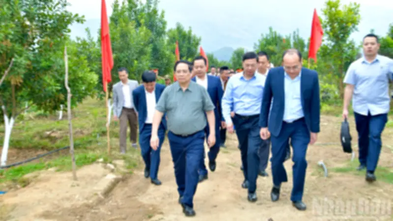 Thủ tướng chỉ đạo phát triển cà phê, mắc ca tại Điện Biên, hướng tới xây dựng thương hiệu vùng nguyên liệu