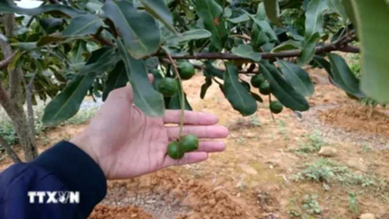 Thủ tướng kêu gọi biến núi rừng Tây Bắc, Trung Du thành cơ sở vật chất phát triển