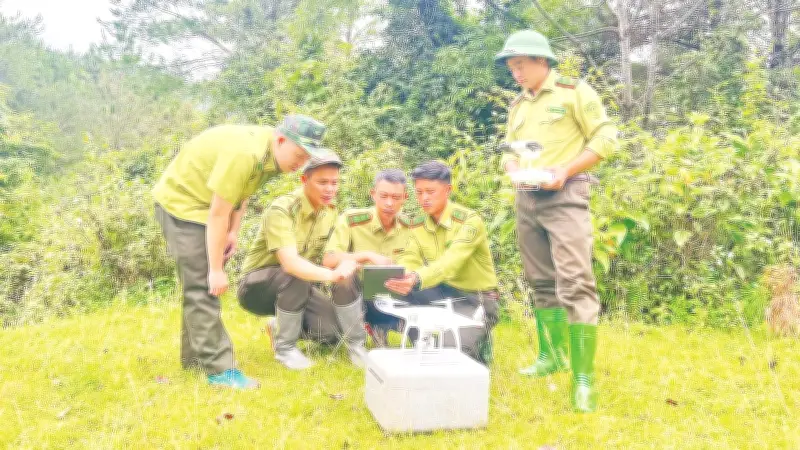 Thị trường carbon rừng: Kênh tài chính xanh đầy tiềm năng cho Việt Nam