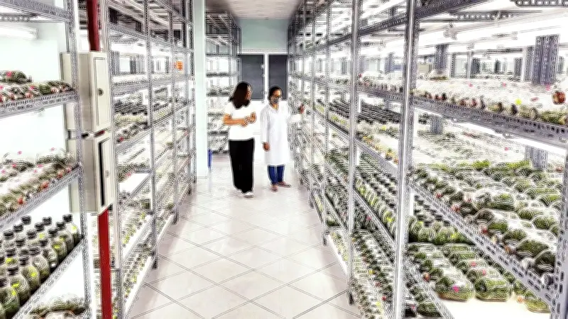 Thị trường công nghệ sinh học Việt Nam: Tiềm năng lớn, thách thức về nhân lực chất lượng cao