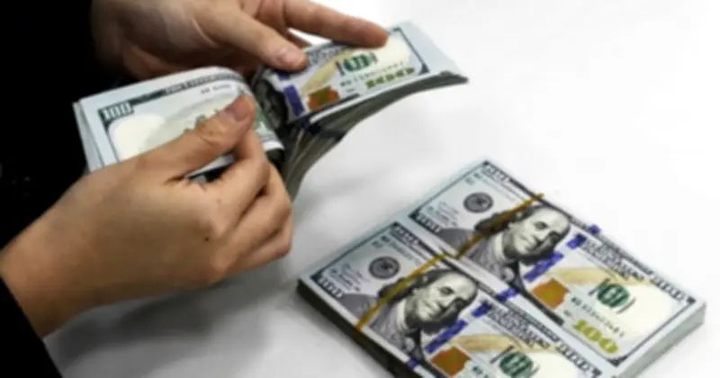 Thị trường ngoại tệ và tiền tệ ngày 18/03: Tỷ giá biến động, lãi suất tăng trở lại