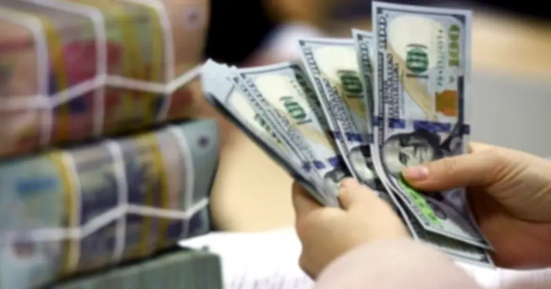 Thị trường tiền tệ liên ngân hàng: Lãi suất VND giảm mạnh, tỷ giá USD biến động nhẹ