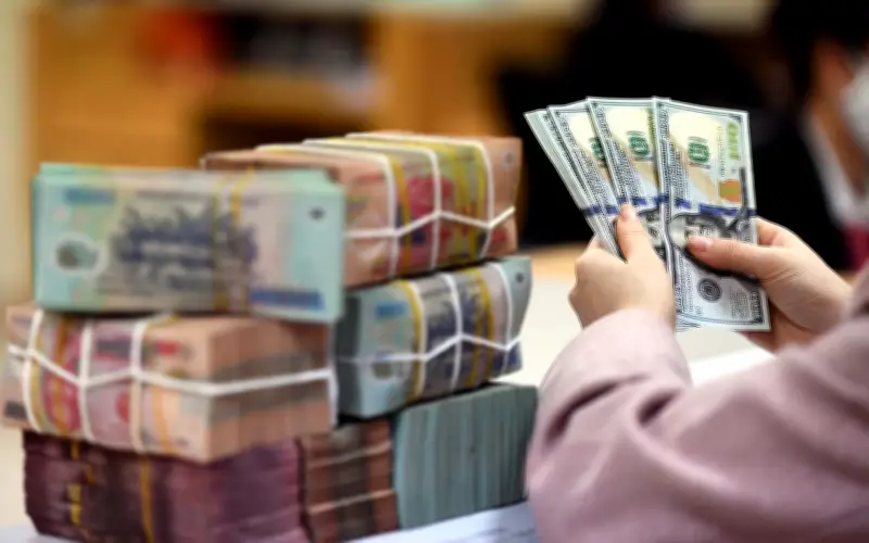 Thị trường trái phiếu doanh nghiệp tháng 2/2026: Phát hành tăng, ngân hàng chiếm ưu thế