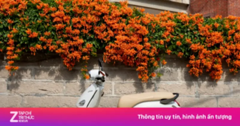 Thị trường xe máy điện Việt Nam sôi động với loạt mẫu mới ra mắt