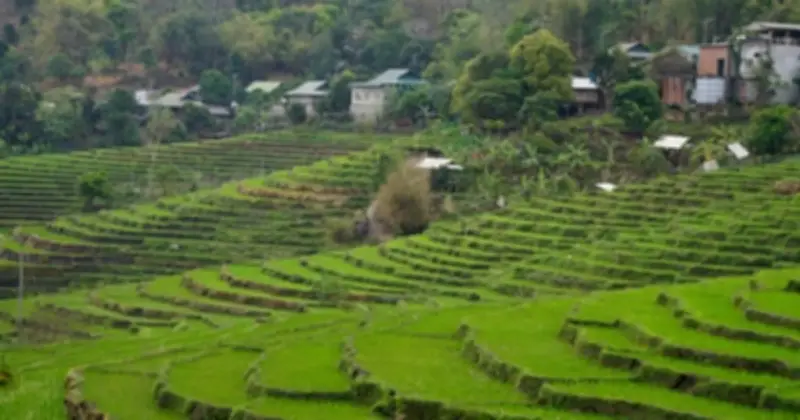 Thanh Hóa Công Bố Chính Sách Ưu Đãi Đặc Biệt Thu Hút Đầu Tư Năm 2026