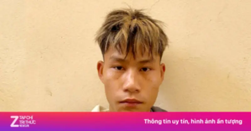 Thanh niên Sơn La bị bắt tạm giam vì ném đá làm vỡ kính ôtô VinFast