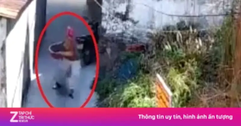 Thanh niên TP.HCM bị phạt 750.000 đồng vì vứt rác bừa bãi xuống bãi đất trống