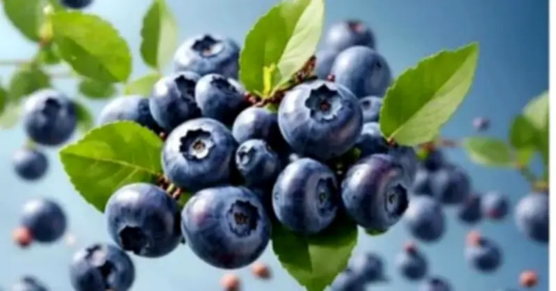 Thực phẩm màu tím: Bí quyết dinh dưỡng giúp da khỏe đẹp và chống lão hóa hiệu quả