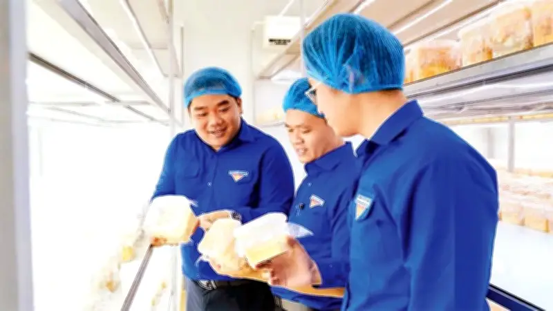 Thạc sĩ 9X và hành trình đưa nấm Việt vươn tầm thế giới từ xưởng công nghệ cao