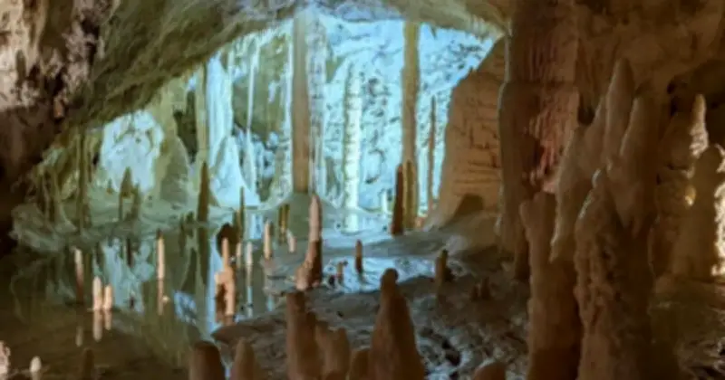 Thạch Nhũ Morocco Tiết Lộ Bí Ẩn Sahara Xanh Tươi 8.000 Năm Trước