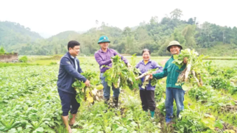 Thái Nguyên: Lợi Thế Và Thách Thức Trong Hành Trình Xây Dựng Nông Thôn Mới