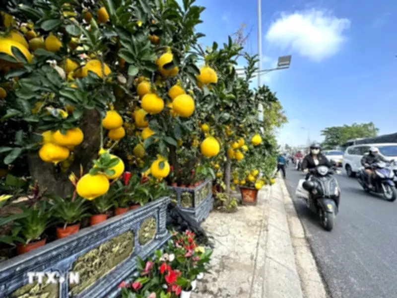 Thời tiết ngày 25/3: Tây Bắc, Nam Bộ nóng cục bộ, có nơi vượt 35 độ C