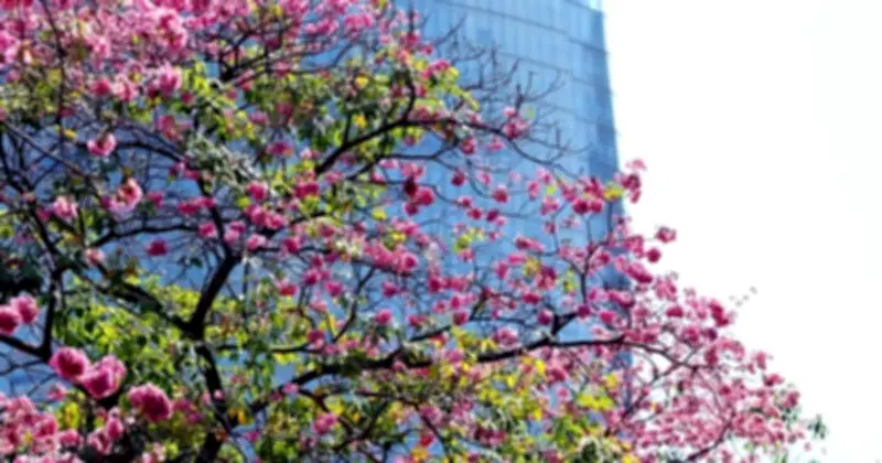 Thời tiết TP.HCM và Nam bộ nắng nóng gay gắt, chiều tối có mưa trái mùa