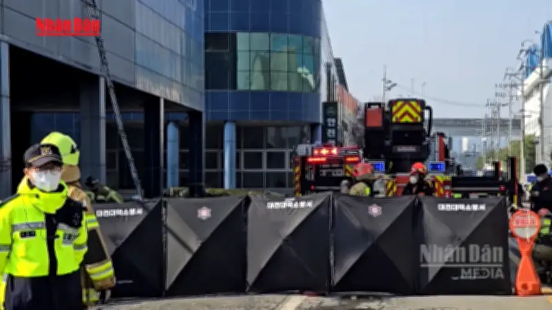 Thảm kịch Hàn Quốc: Số người thiệt mạng trong vụ cháy nhà máy tăng lên 14