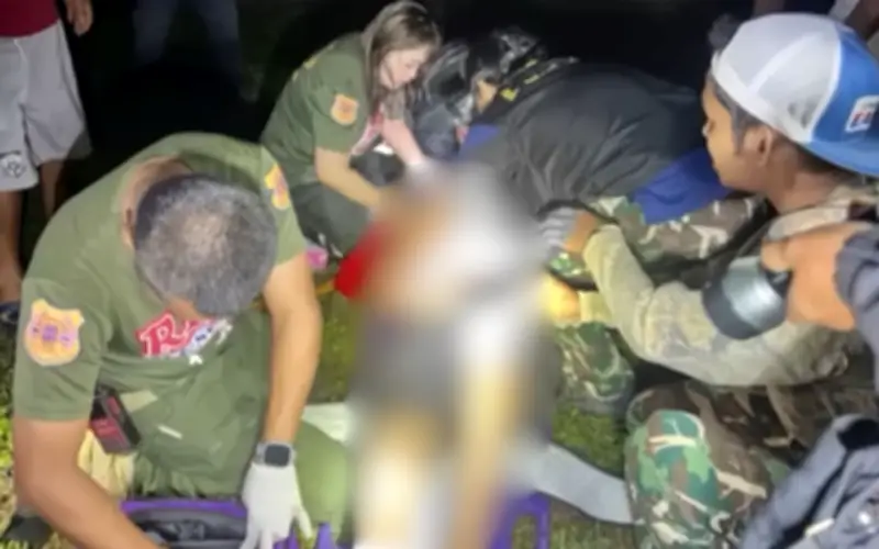 Thảm kịch ở Thái Lan: Cụ ông 87 tuổi tử vong sau khi bị voi rừng tấn công