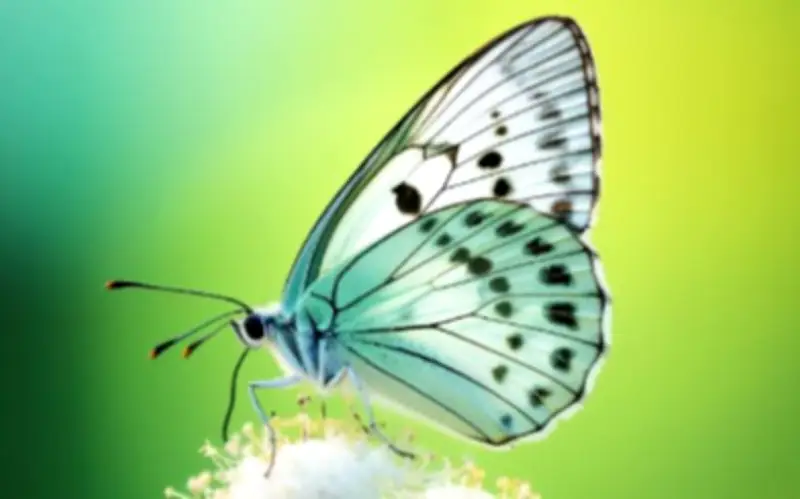 Tháng sinh âm lịch của người có nghị lực mạnh mẽ, dễ giàu từ trung niên