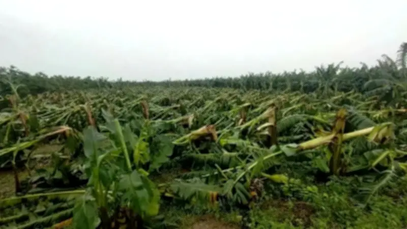 Thông Tư 21/2026: Luồng Gió Mới Giải Phóng Thủ Tục Miễn Giảm Tiền Thuê Đất