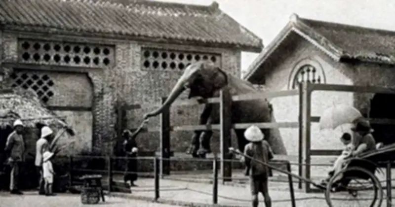 Thảo Cầm Viên Sài Gòn tổ chức sinh nhật 162 năm với nhiều hoạt động hấp dẫn