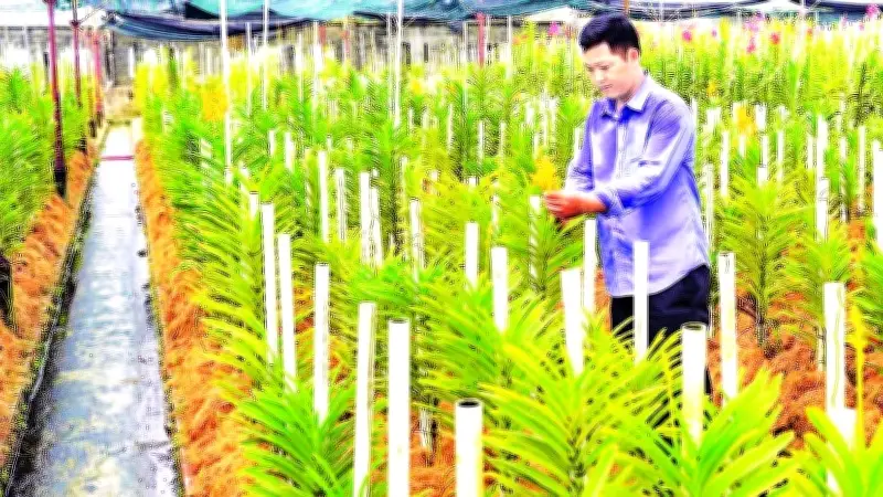 Tháo Gỡ Rào Cản Đất Đai, Vốn Để Phát Triển Nông Nghiệp Công Nghệ Cao Tây Bắc TP.HCM