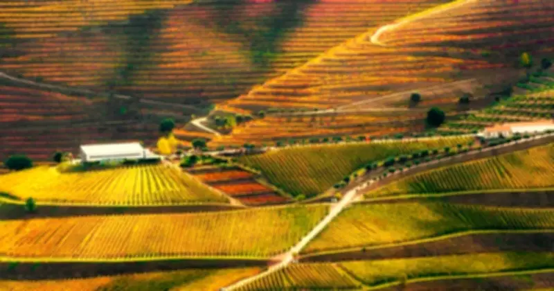 Time Out Công Bố Bảng Xếp Hạng Những Điểm Đến Đẹp Nhất Thế Giới