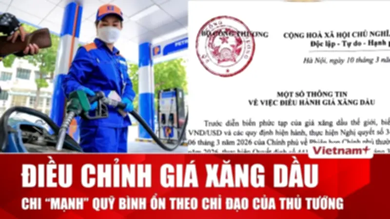 Tin Nóng 60 Giây: Giá Xăng Biến Động, 8 Tỷ Phú USD, Cây Cổ Thụ Trụi Lá Bất Thường