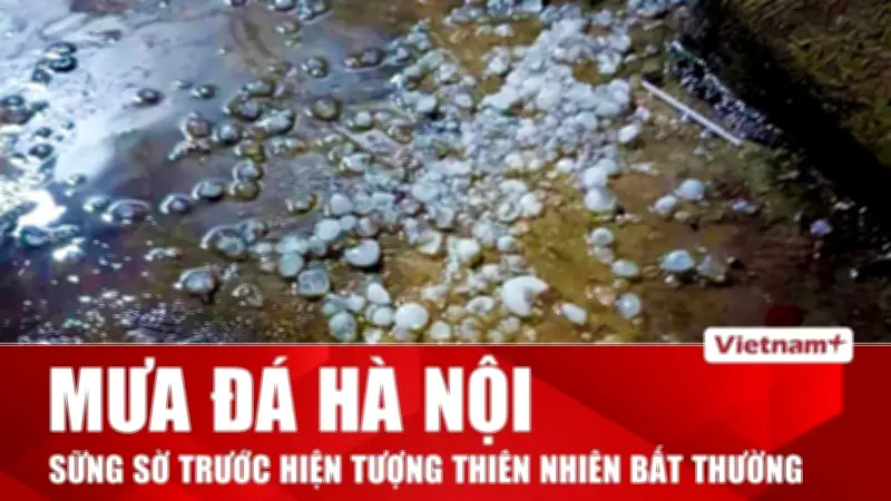 Tin Nóng 60 Giây: Mưa Đá Hà Nội, Cháy Nhà Xưởng, Xe Khách Rơi Vực Tam Đảo