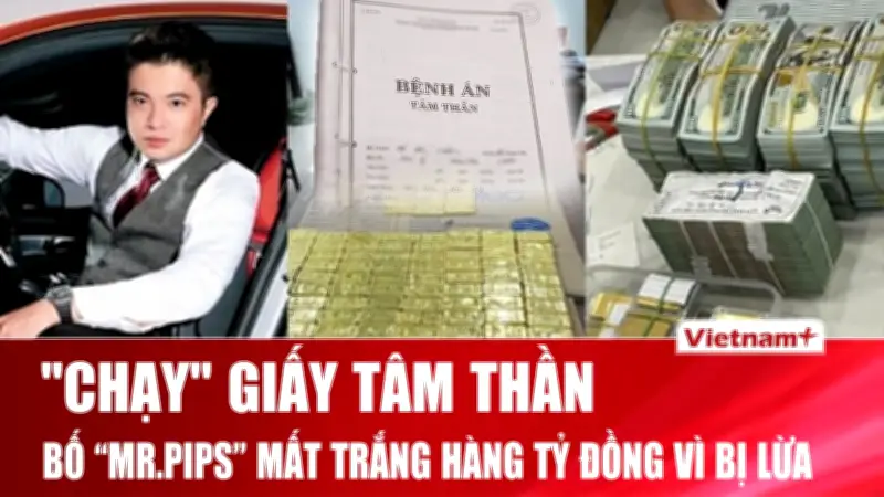 Tin Nóng 60s 19/3: Lừa Hồ Sơ Tâm Thần, Miss Grand, Google Maps Cập Nhật