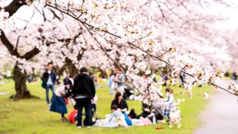 Tin tức khoa học và y tế: Từ nhựa sữa phân hủy nhanh đến ca ghép gan lịch sử