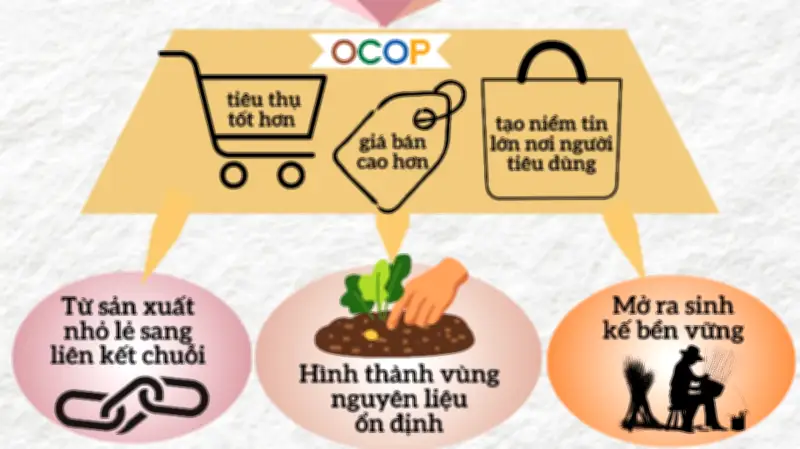 Tinh hoa bản địa OCOP bước vào giai đoạn sàng lọc khắt khe hơn