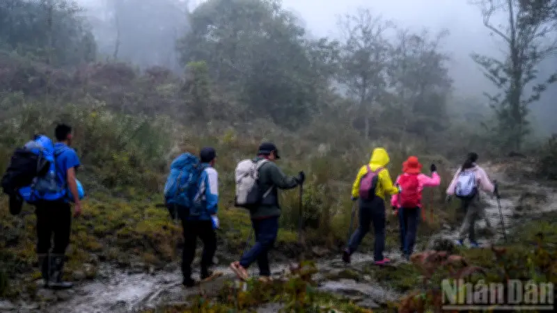 Tiêu Chuẩn Mới Về Du Lịch Mạo Hiểm: Tăng Cường An Toàn Cho Hoạt Động Đi Bộ Đường Dài