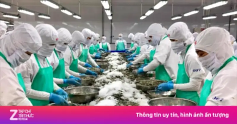 Tôm, cá Việt Nam 'mắc kẹt' tại cảng trung chuyển vì xung đột Trung Đông