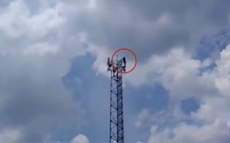 Tên trộm cắp dây đồng cố thủ trên cột điện ở Thái Lan, bất chấp lời mẹ cầu xin