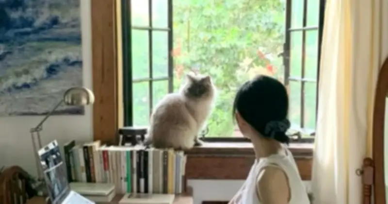 Tầng Hai Chung Cư: Lựa Chọn Thông Minh Hay Trào Lưu Nhất Thời Của Giới Trẻ?