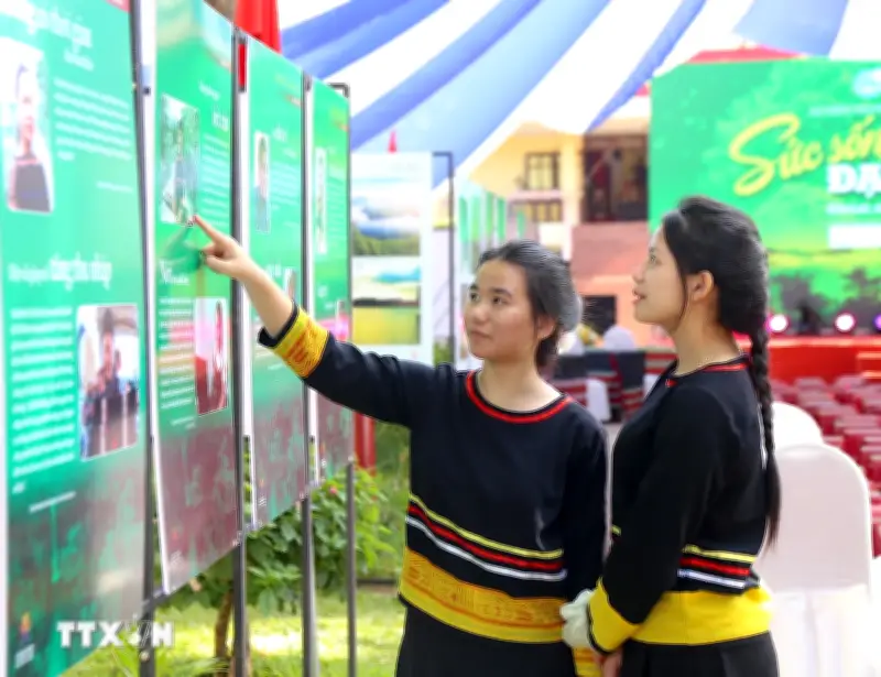 Tăng mức phạt đối với hành vi vi phạm trong lĩnh vực bình đẳng giới