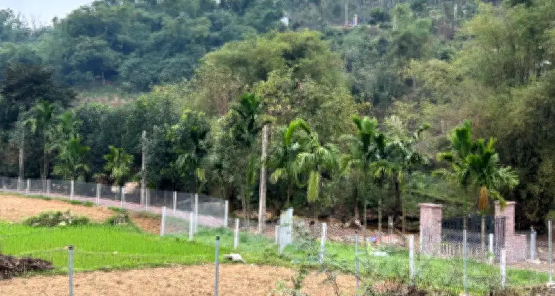 Tặng đất cho con cháu: Lý do vẫn phải nộp thuế thu nhập cá nhân