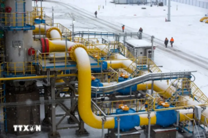 Tổng thống Putin ngỏ ý sẵn sàng cung cấp năng lượng cho châu Âu