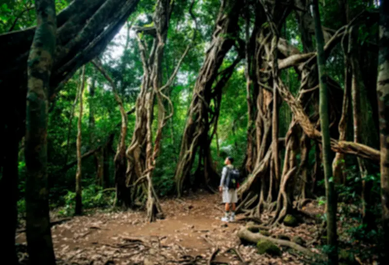 Tour Du Lịch Mạo Hiểm: Những Tiêu Chuẩn An Toàn Quốc Gia Bắt Buộc Phải Tuân Thủ