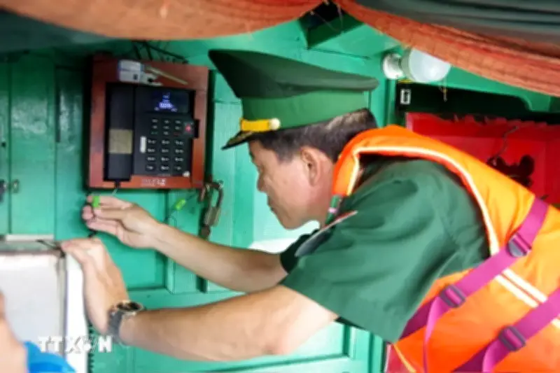 TP.HCM: Bộ Tư lệnh Biên phòng tăng cường kiểm tra chống khai thác IUU