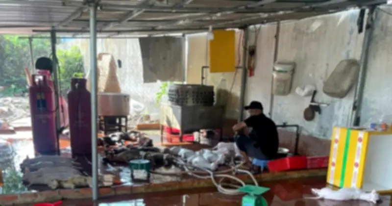 TP.HCM: Lò Giết Mổ Chó, Mèo Trái Phép Tẩu Tán Tang Vật Trước Khi Đoàn Kiểm Tra Đến