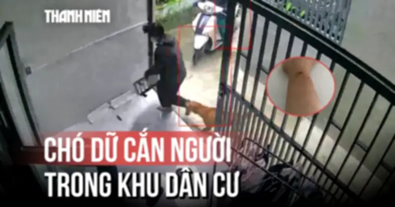 TP.HCM Liên Tục Cần Người Tài Cho Các Khu Công Nghệ Cao Và Khu Đô Thị Mới