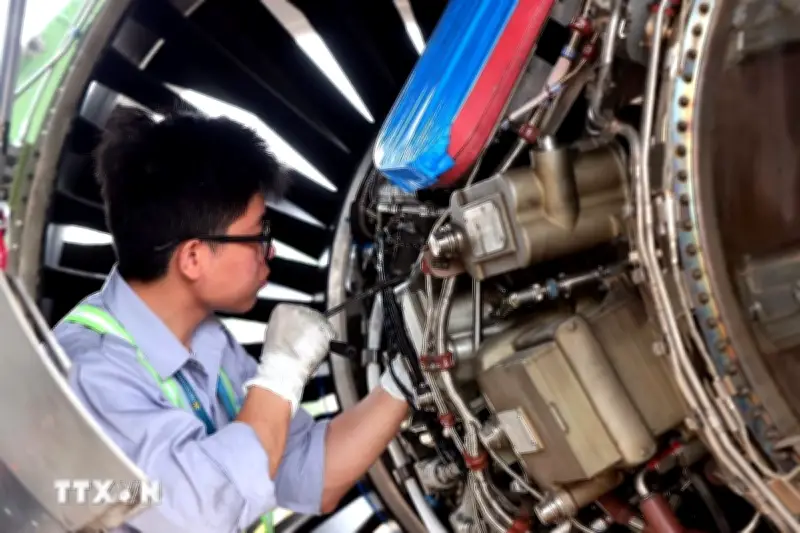 TP.HCM: Nhu cầu nhân lực trình độ cao đẳng có xu hướng gia tăng mạnh