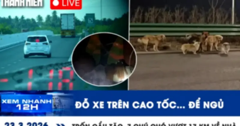 TP.HCM nóng nhất 36 độ, cầu tắc 7 chỗ, người dân vượt 17km về nhà