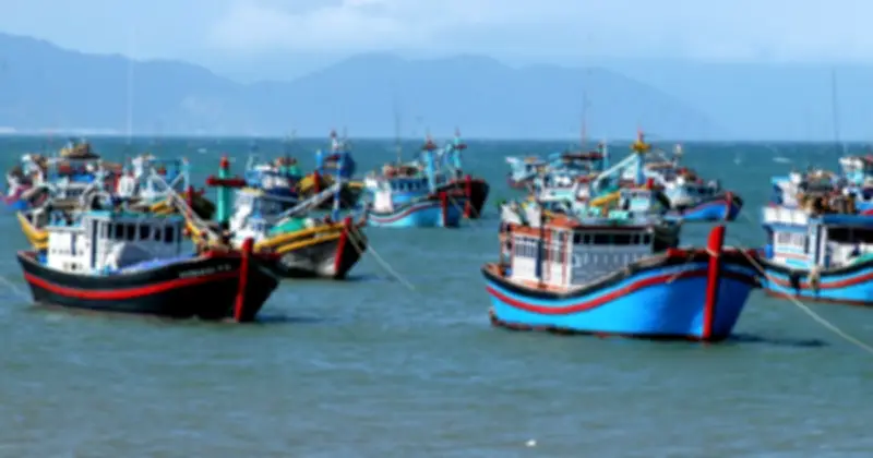 TP.HCM quyết liệt triển khai giải pháp chống khai thác IUU, chuẩn bị đón đoàn thanh tra EU