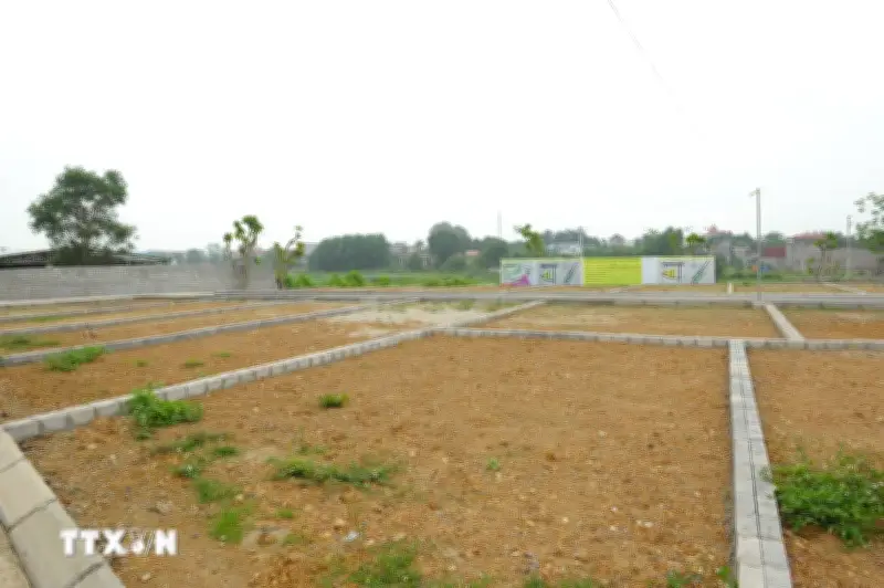 TP.HCM siết quản lý đất đai, gia hạn có điều kiện nhiều dự án