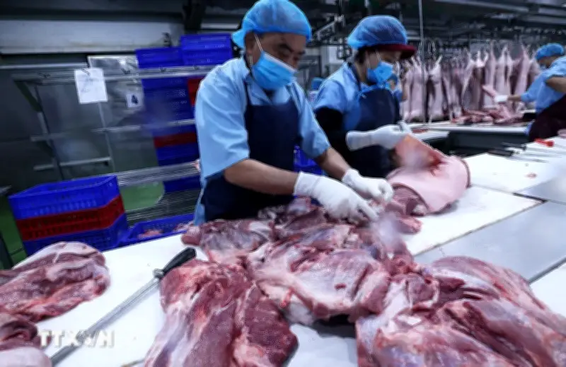 TP.HCM thí điểm sàn giao dịch thịt lợn: Giải pháp mới ổn định giá cả thị trường